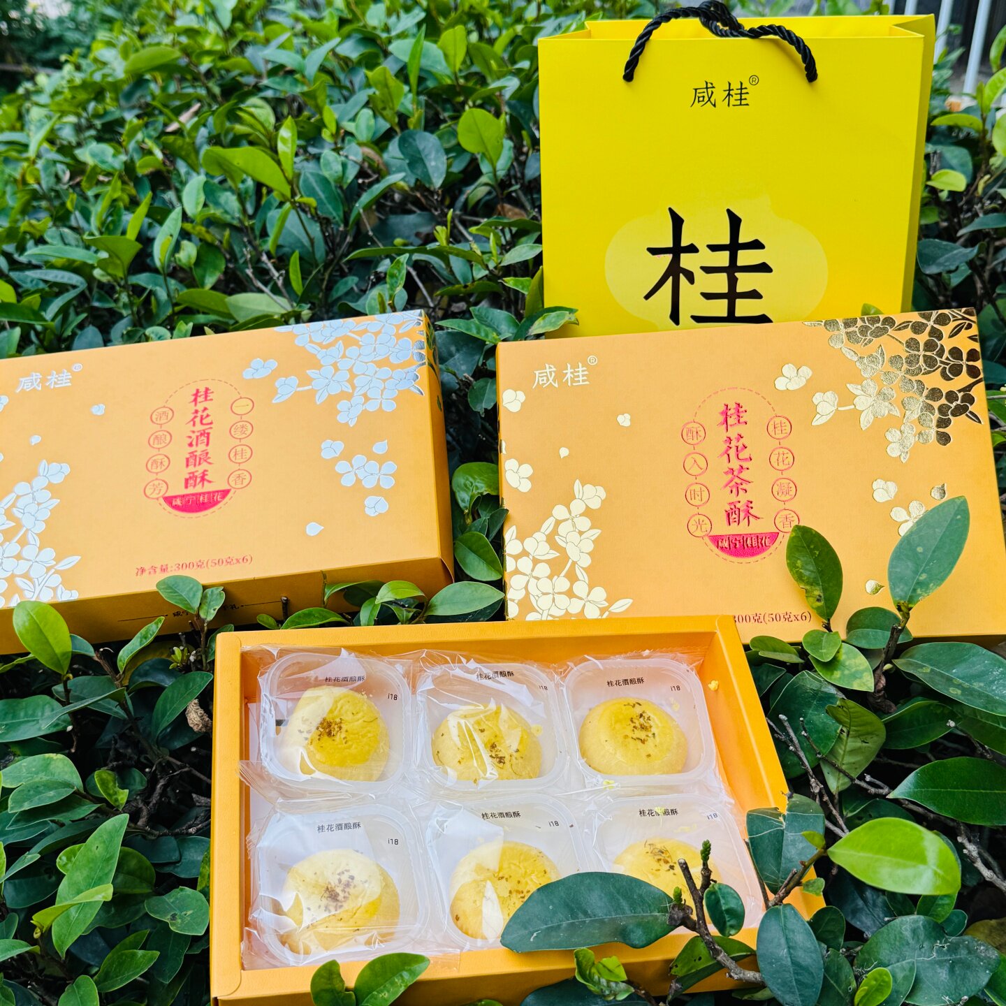 咸宁桂花茶酥酒酿酥小吃糕点