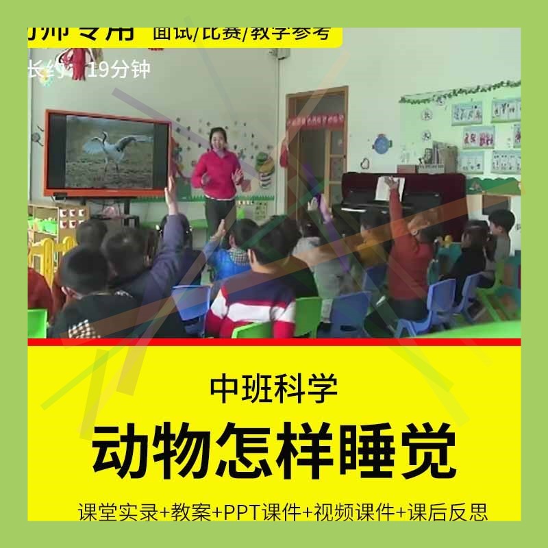 1幼儿园教师面试比赛培训优质公开课资料中班科学《动物怎样睡觉
