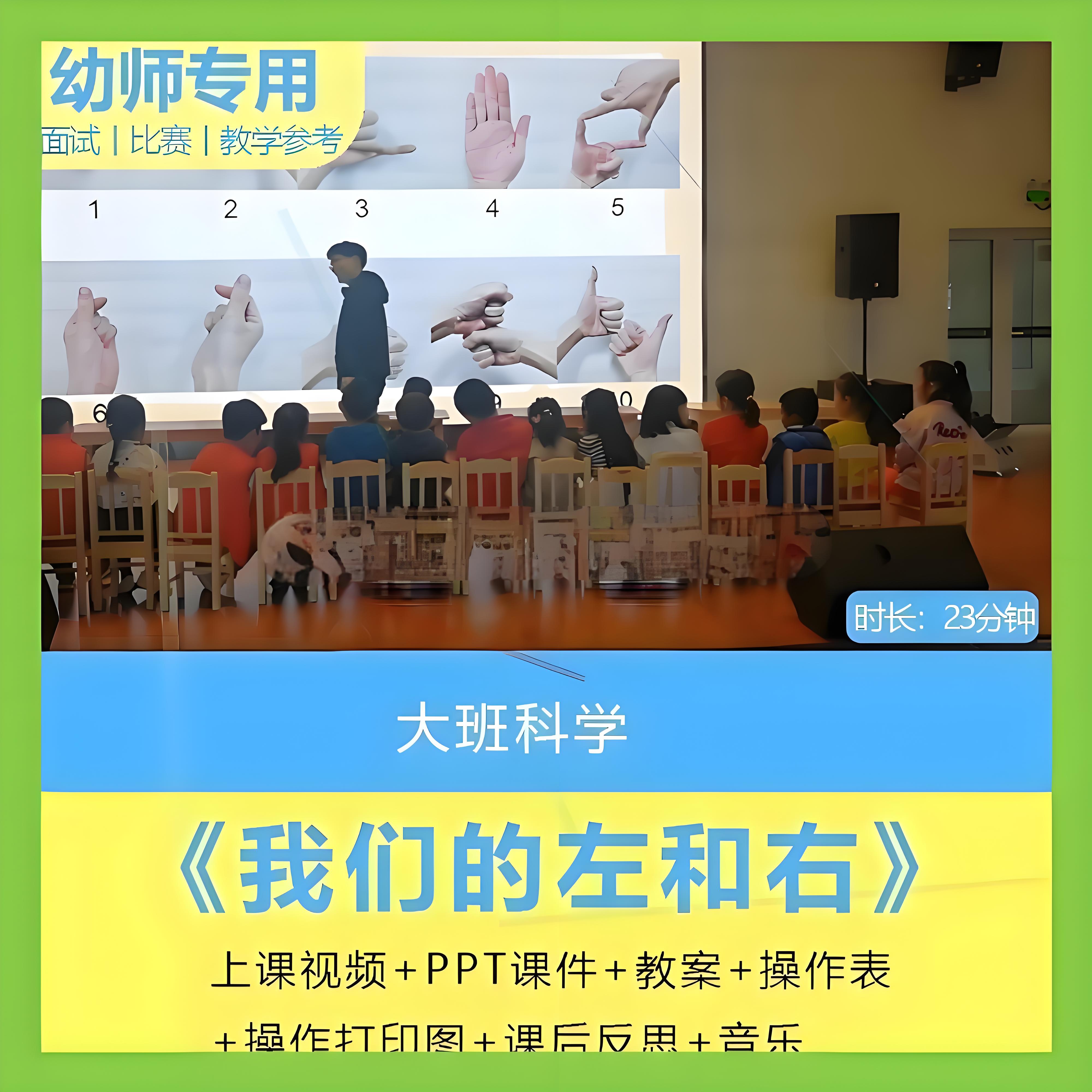 面试大班科学《我们的左和右》认识左右空间方位优质公开课ppt1