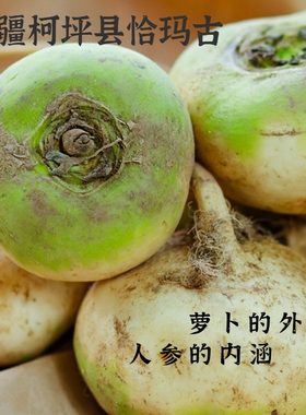 新疆柯坪恰玛古5斤肉白无筋西域人参碱性蔬菜炖羊肉清炒当季蔬菜