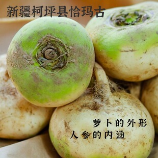 新疆柯坪恰玛古5斤肉白无筋西域人参碱性蔬菜炖羊肉清炒当季蔬菜