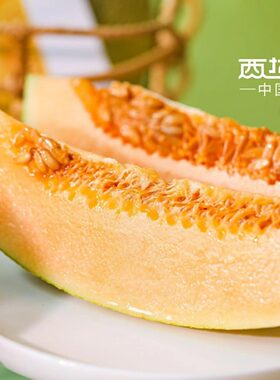 西域小白阳光小蜜哈密瓜清脆爽口
