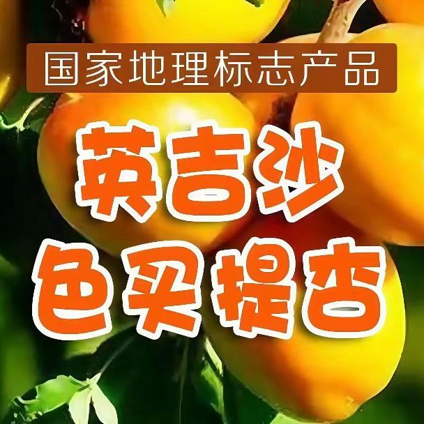 新疆喀什英吉沙色买提杏国家地理标志产品4斤产地直发顺丰空运