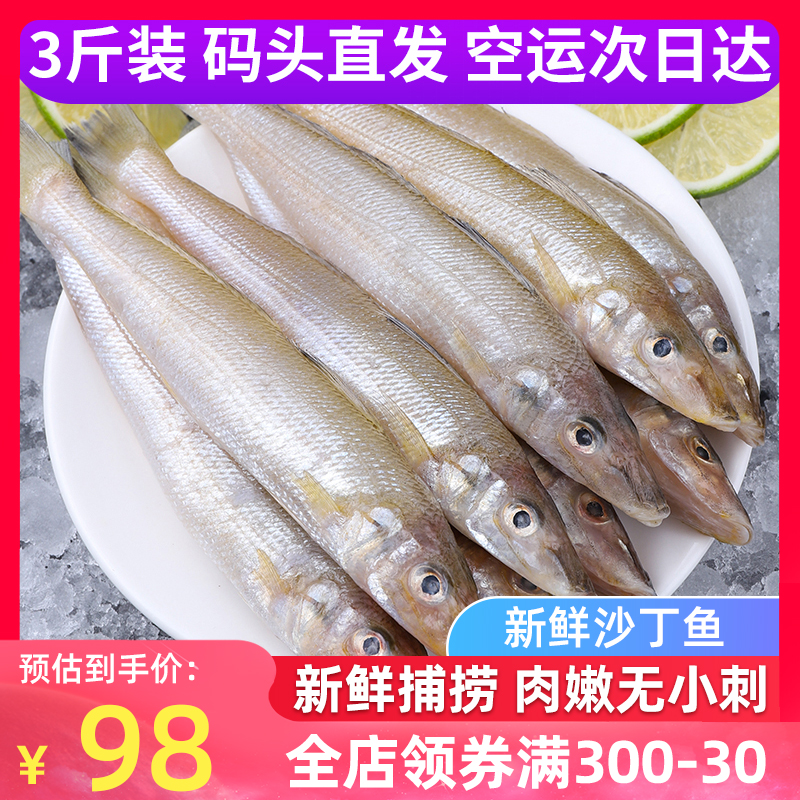 沙丁鱼新鲜青岛海捕深海鱼鲜活冷冻速冻3斤冰鲜海鲜水产 烧烤食材