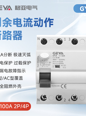 GYL9漏电保护器2P4P小型空气开关100A开关总闸剩余电流动作断路器