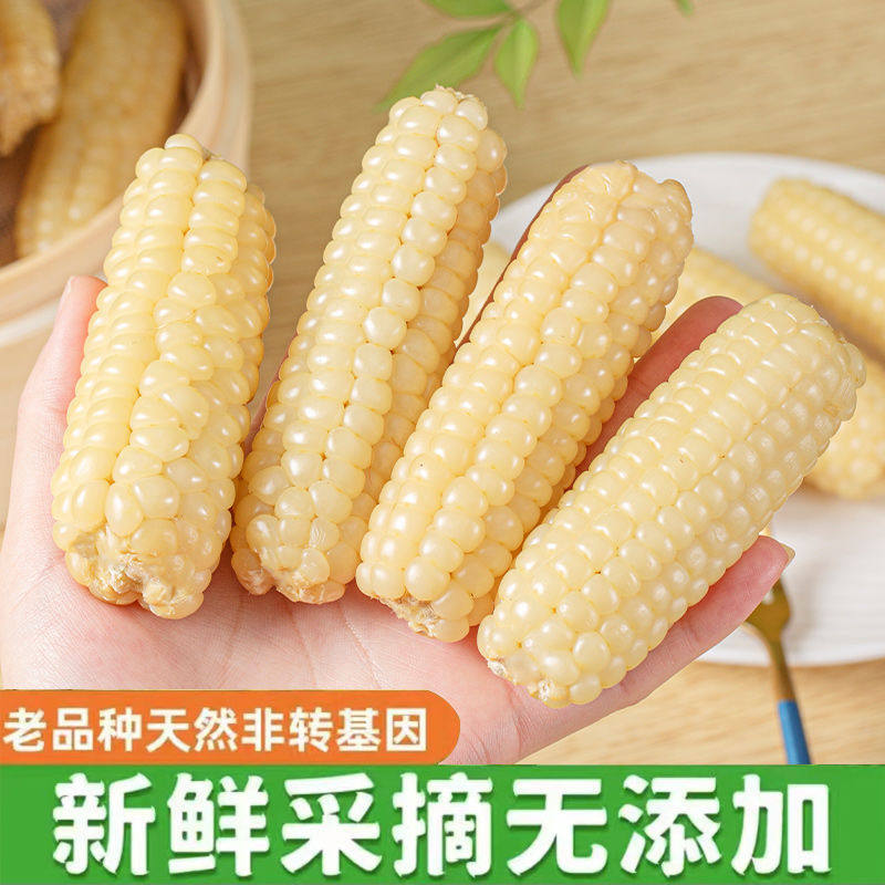 西双版纳拇指小玉米非转基因新鲜白糯玉米棒宝宝孕妇早餐粗粮整箱