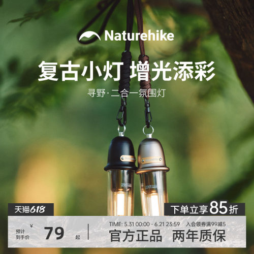 挪客户外露营氛围帐篷灯