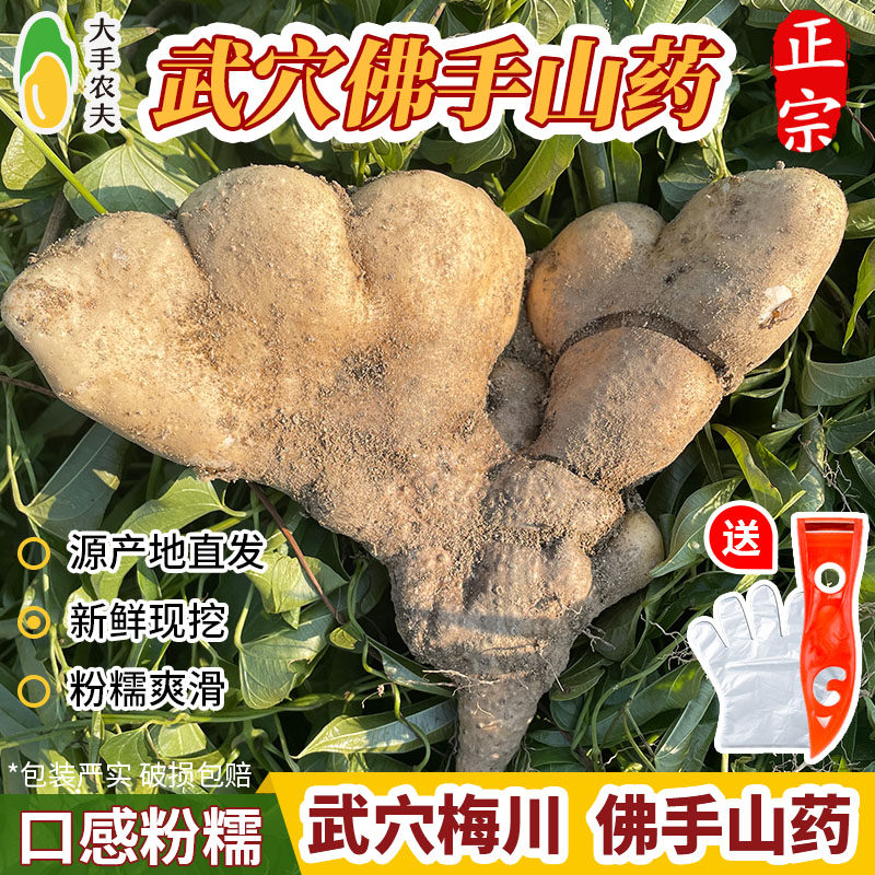 大手农夫佛手山药湖北特产粉糯