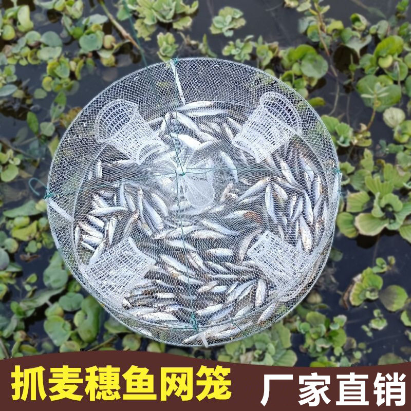 捕鱼神具麦穗渔网户外抓鱼捉蟹笼