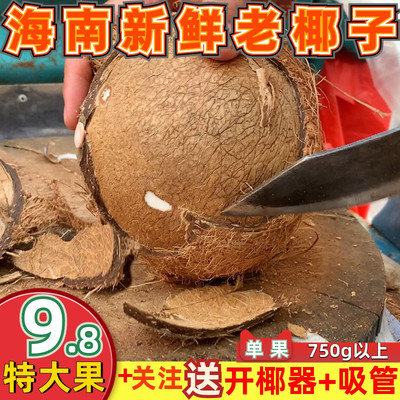 海南老椰子孕妇水果汁水多清补凉