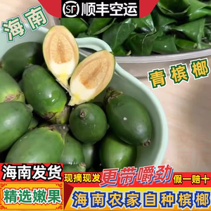 海南青槟榔鲜嫩原果甜苦叶粉散装