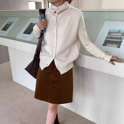 叠穿神器！半高领针织马甲背心女外穿秋冬新款毛衣内搭高级感上衣