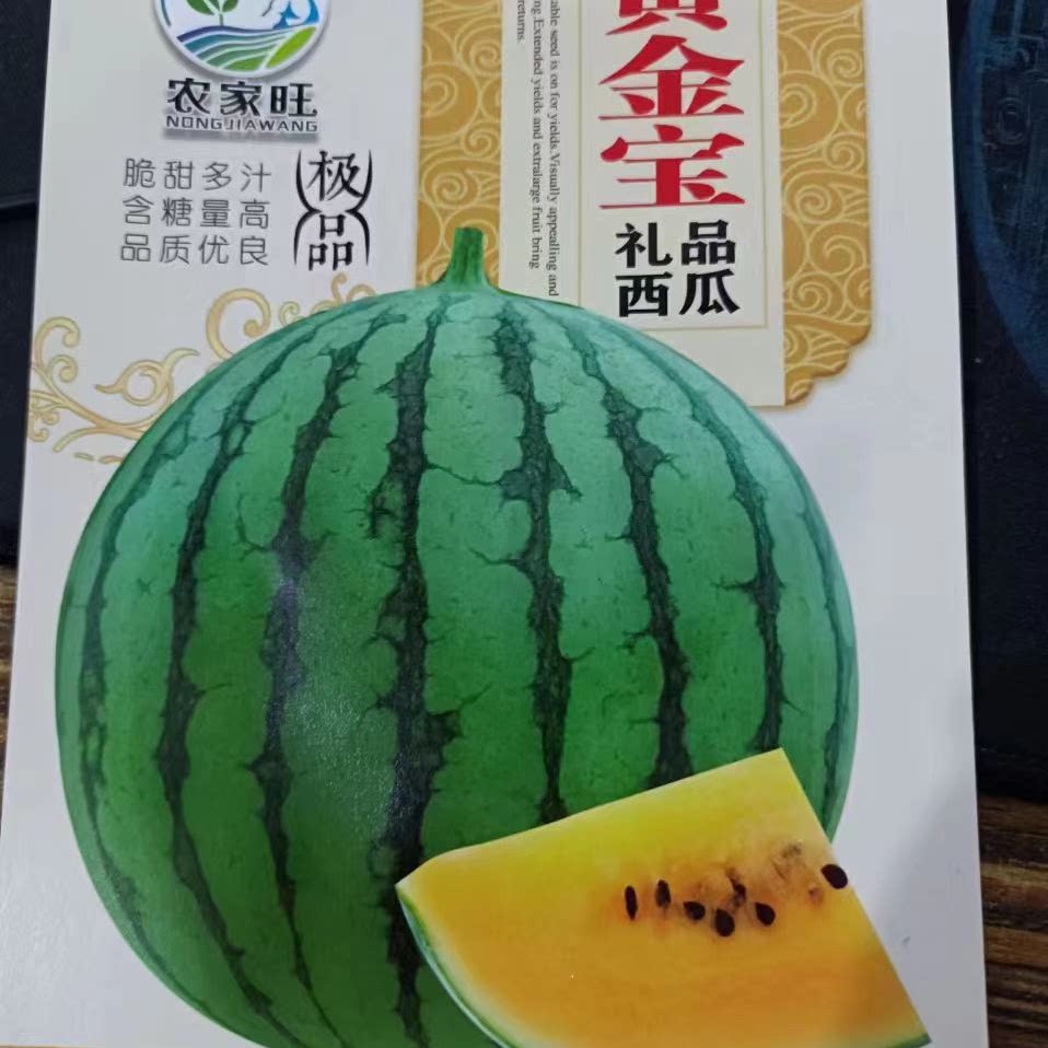 黄金宝西瓜种子中早熟黄心薄皮甜盆栽黄瓤型花皮农田西瓜种子