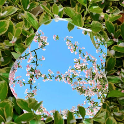 高清防爆不规则镜子diy桌面亚克力化妆镜梳妆台拍照夜市摆摊镜子