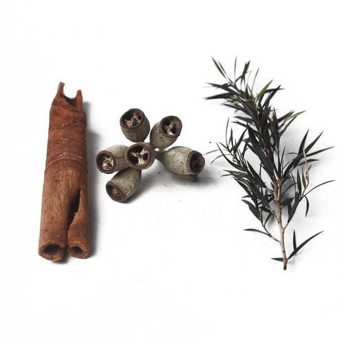 ins多肉月球纹水泥迷你花盆小盆栽个性仙人掌蝴蝶兰蜡烛杯扩香石