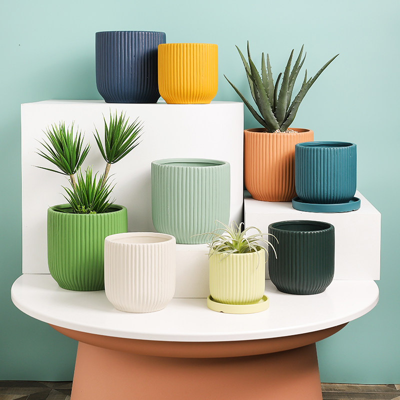 ins风北欧马卡龙多彩室内花盆多肉绿植盆栽民宿客厅卧室酒店摆件,鲜花速递/花卉仿真/绿植园艺,花盆,淘宝优惠券,粉丝福利购,淘宝优惠卷
