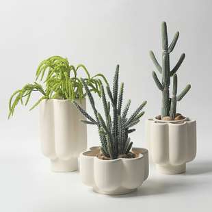 ins奶油风陶土创意多肉透气大口径兰花陶瓷花盆简约绿萝家用小号