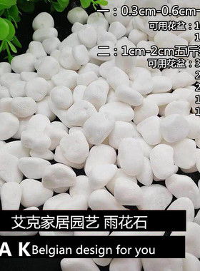 多肉铺面石天然雨花石石花盆栽石子鱼缸装饰白色小石头子原石铺底