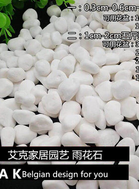 多肉铺面石天然雨花石石花盆栽石子鱼缸装饰白色小石头子原石铺底