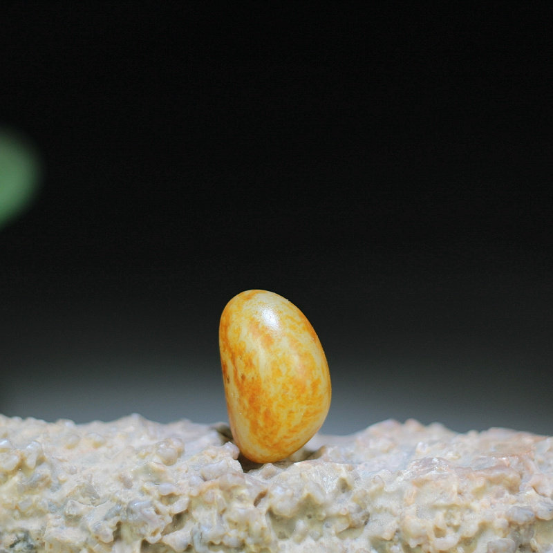 新疆和田玉8.5克细腻满撒金皮白玉籽料原石挂件吊坠珠宝玉石籽玉