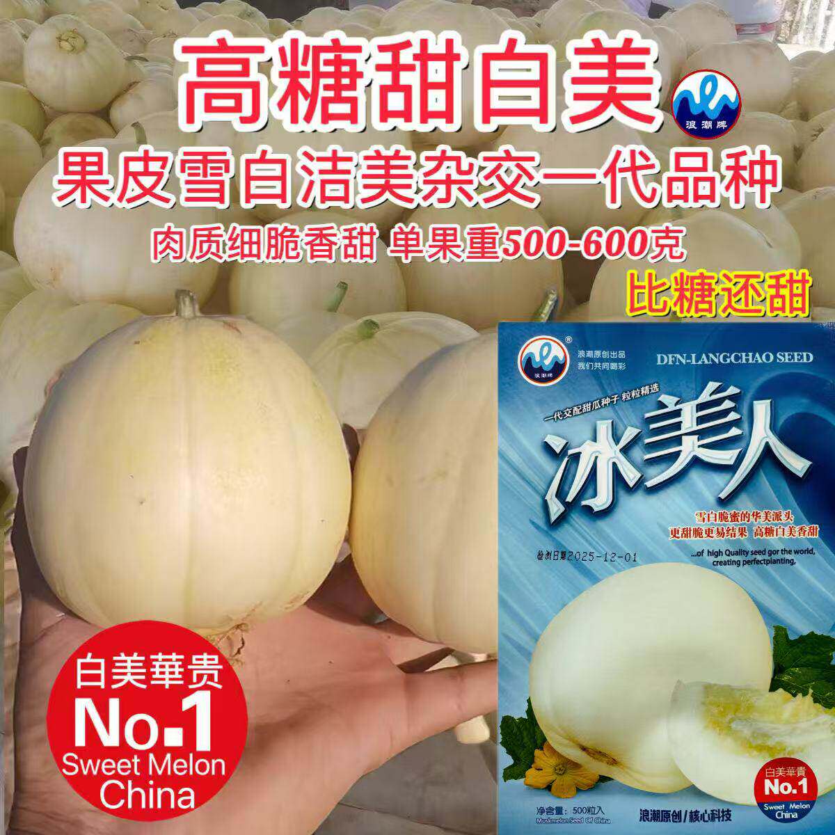 冰美人甜瓜种子白皮白瓤冰的口感香糖度高果皮薄四季高产水果种籽