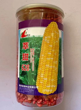 黄色水果玉米种子萃甜611萃甜鲜食玉米628抗病高产春秋两季播