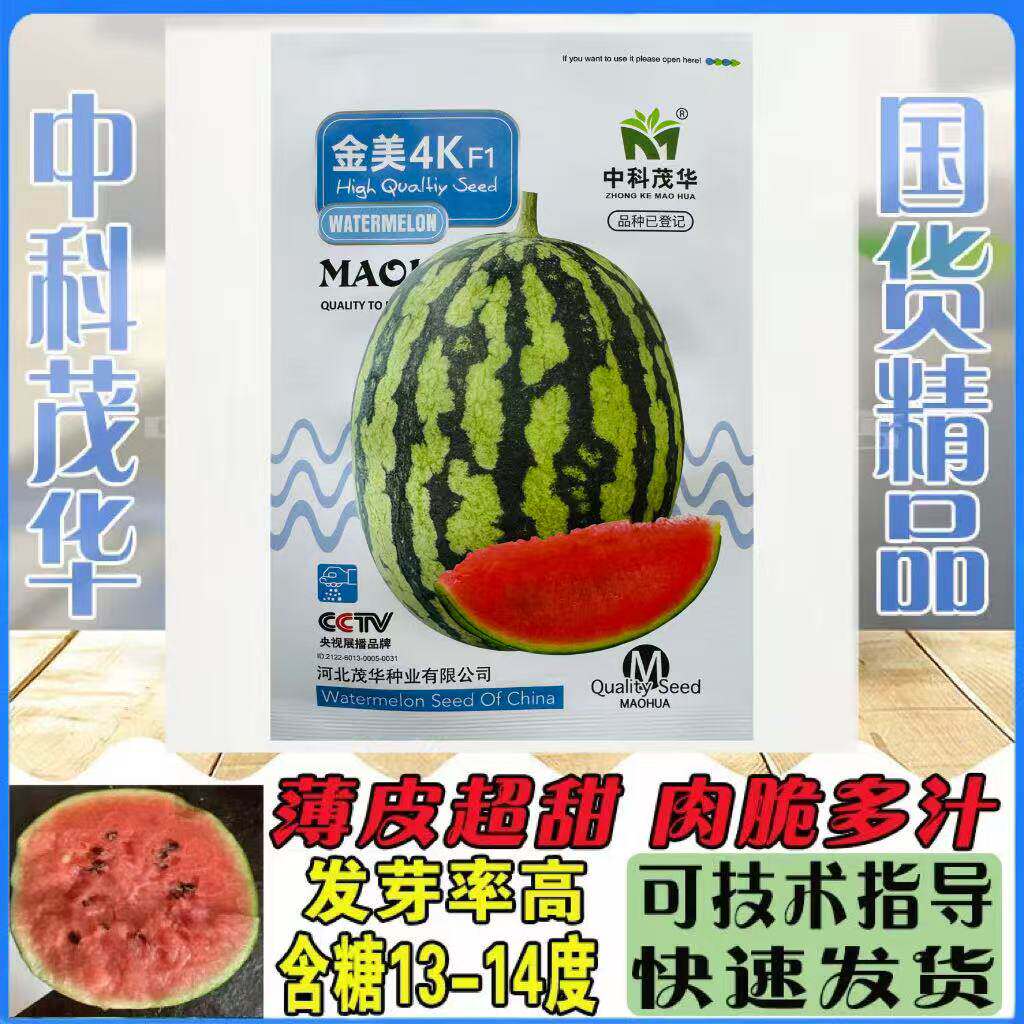 中科茂华金美4K西瓜种子中早熟高产四季播花皮红瓤超甜小西瓜籽孑