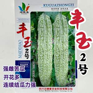 丰玉2号大白苦瓜种子高产大白抗病春播四季春季秋季耐热苦瓜种子