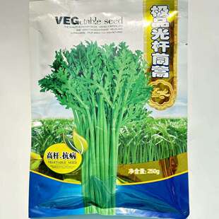 富润光杆茼蒿种子茼蒿菜种子小叶茼蒿籽皇帝菜春秋季蔬菜种籽大田