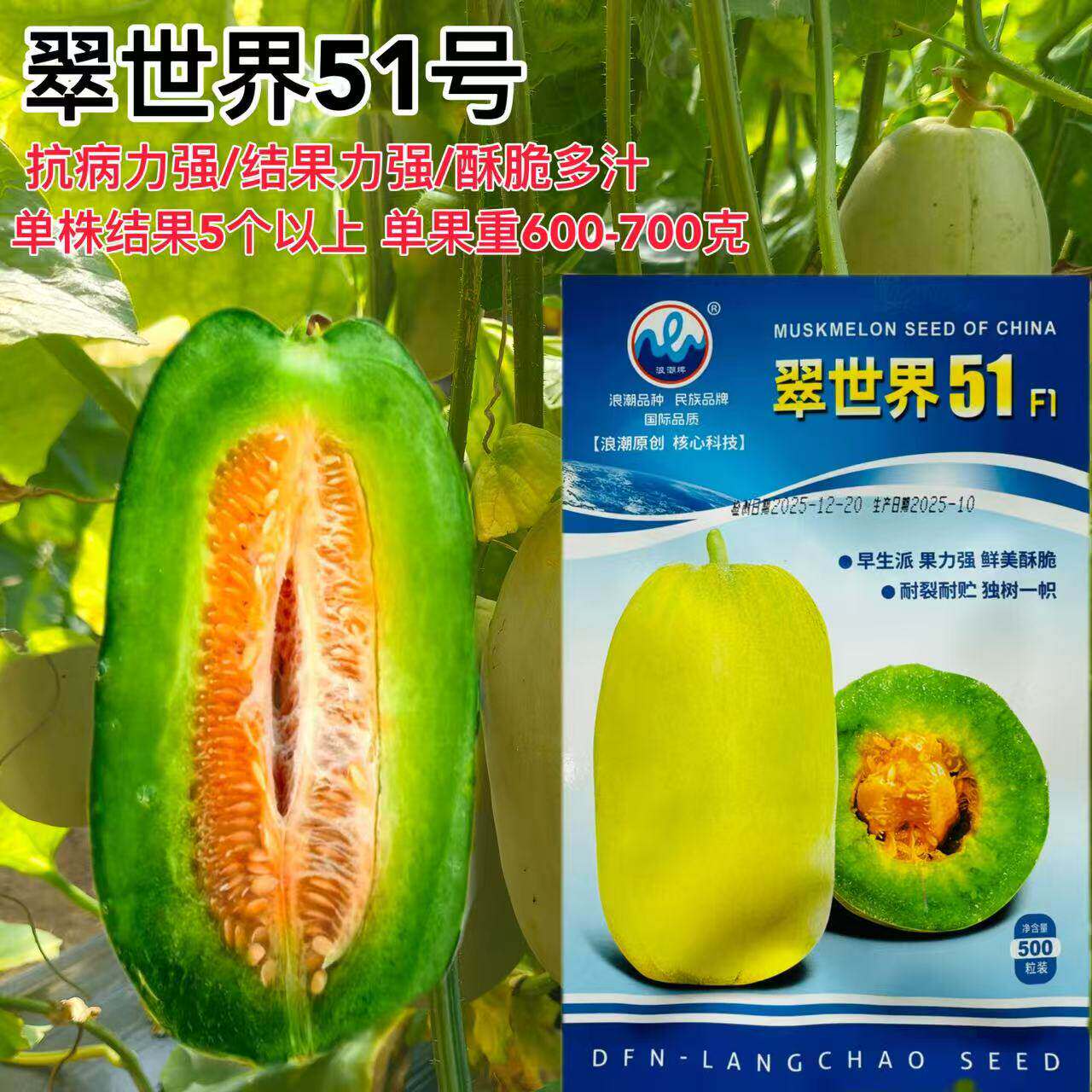 翠世界51甜瓜种子中早熟高产抗病耐裂酥脆香甜橘红瓤绿肉甜瓜种籽