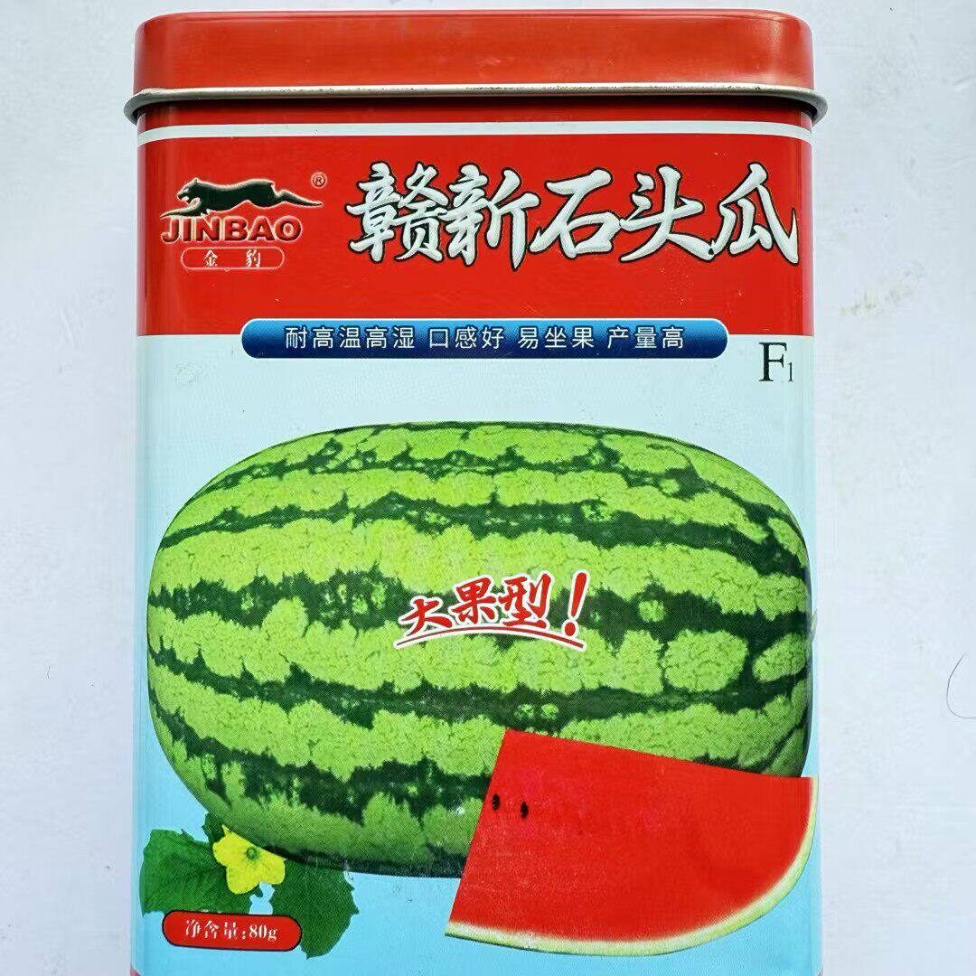 赣新石头瓜西瓜种子大果少籽中熟耐重茬耐高温椭圆形沙瓤西瓜种籽