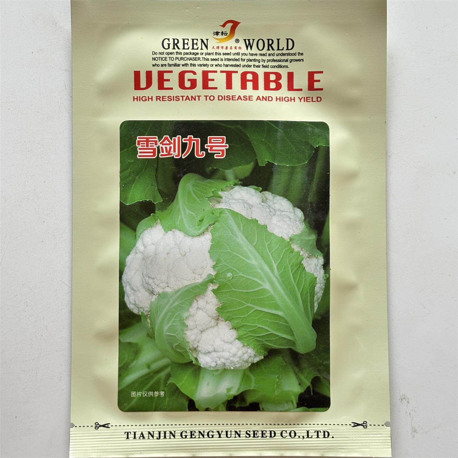 雪剑九号花菜种子（紧花）耐热耐湿青绿梗松散白花椰农家蔬菜种孑