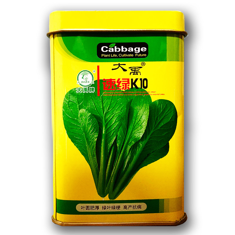 种子青菜四季盆栽农家小白菜播种子速生青梗青菜小蔬菜阳台种籽