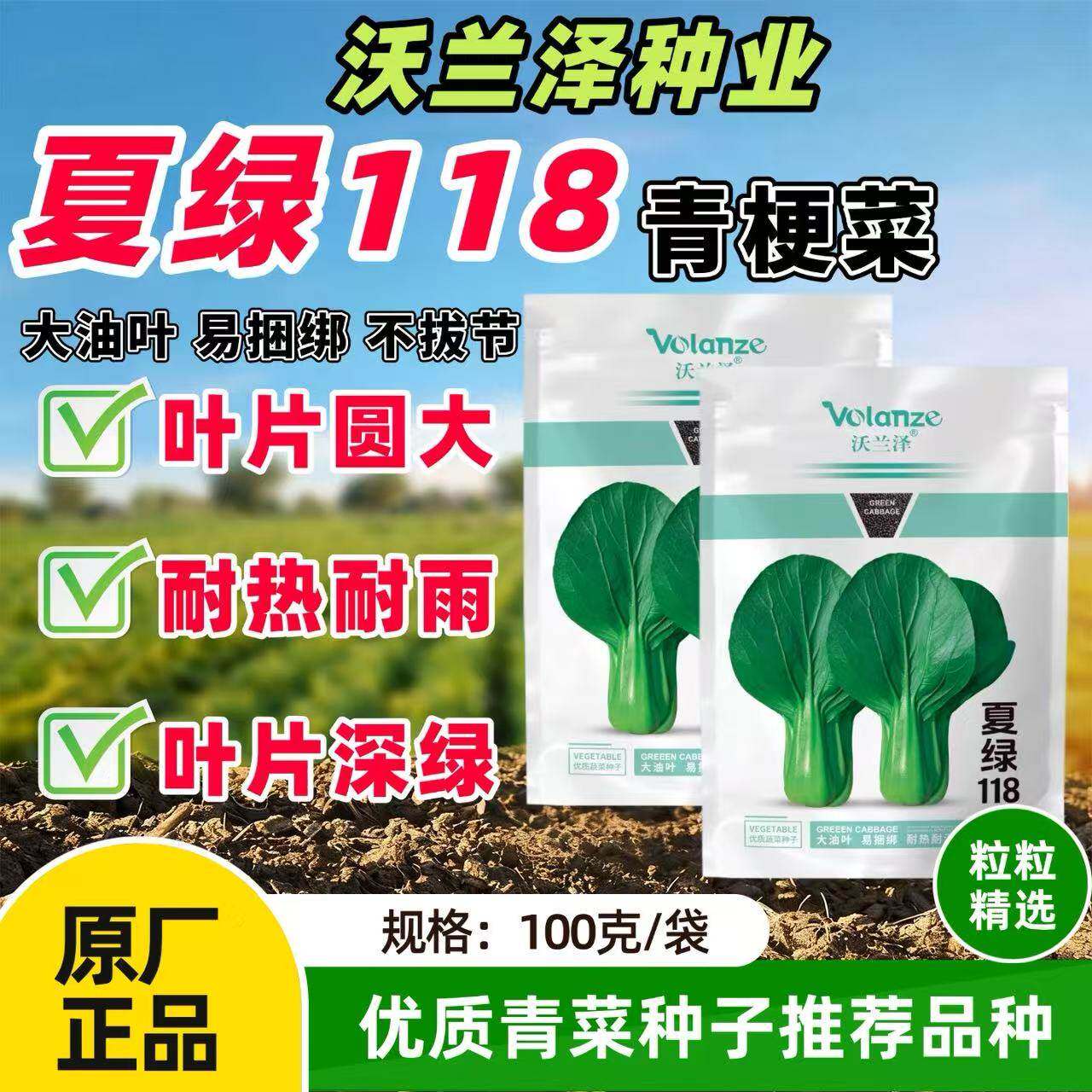 夏绿118 耐热青梗菜种子耐高温上海青种籽大叶面青菜种籽高产油亮