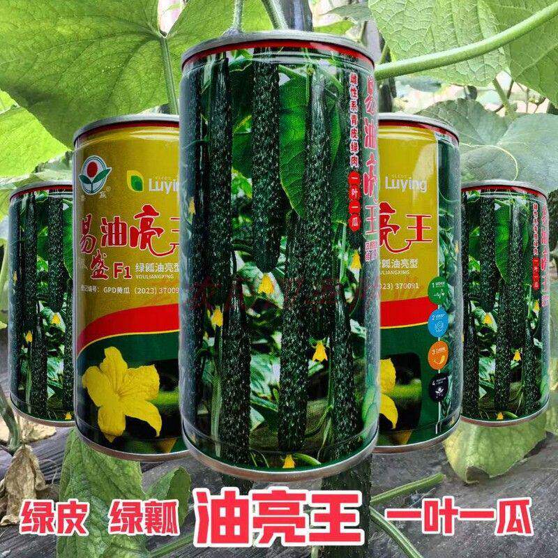 易盛油亮王黄瓜种子一叶一瓜雌性青皮绿肉口感好杂交黄瓜蔬菜种籽