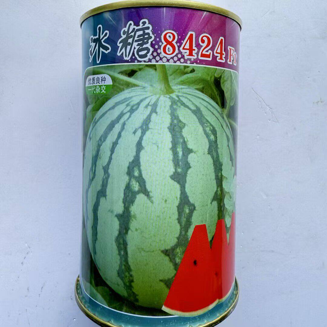 冰糖8424一代杂交西瓜种子抗病高产耐低温耐热圆瓜红瓤大田用种孑
