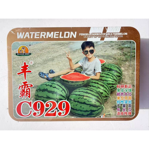 丰霸C929特大西瓜种子超甜中晚熟高产抗病科健种业大红瓤皮薄耐裂