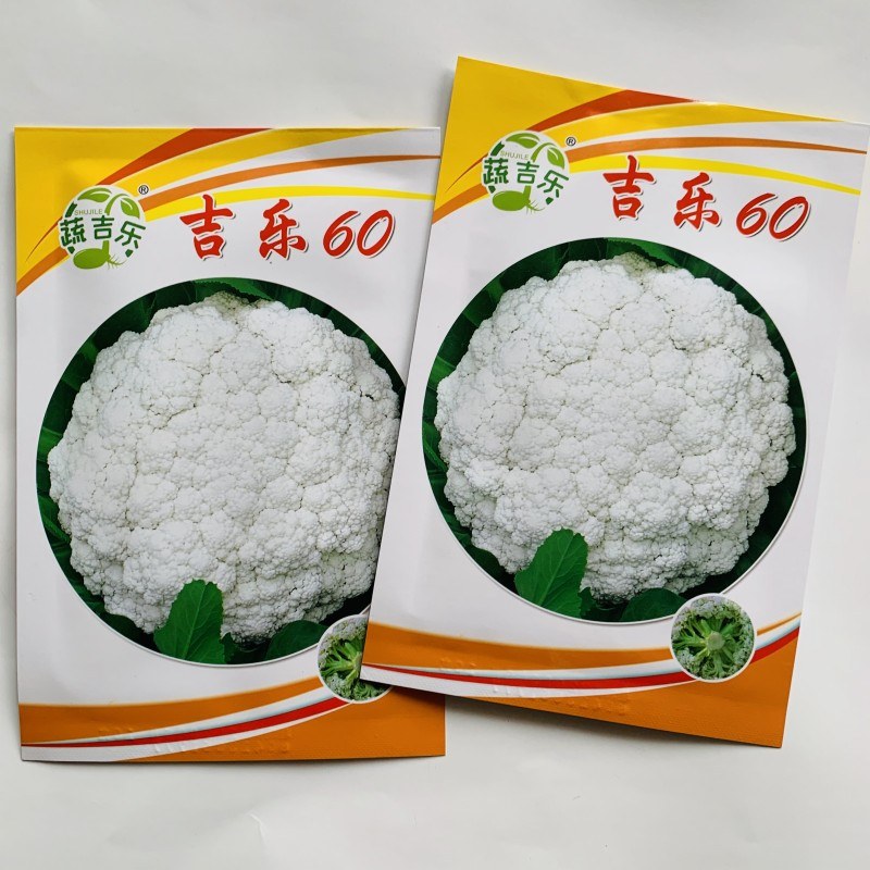 耐热早熟松花菜种子青梗白花菜种子南北方农家菜园大田秋季播蔬菜