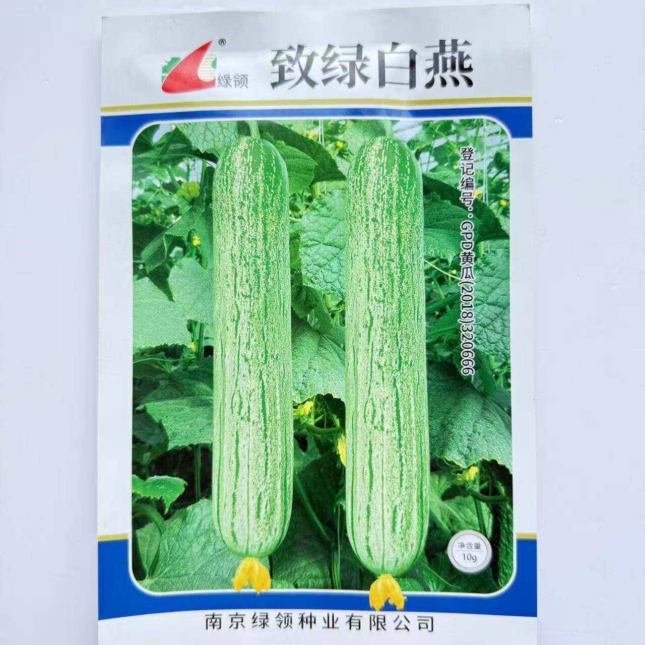 绿领致绿白燕白黄瓜种子早熟无刺老品种水果黄瓜春秋季播蔬菜种籽