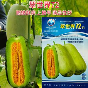 浪潮甜瓜种子翠世界72粗棒型洁净酥脆鲜美高糖绿肉橙腔博洋72型