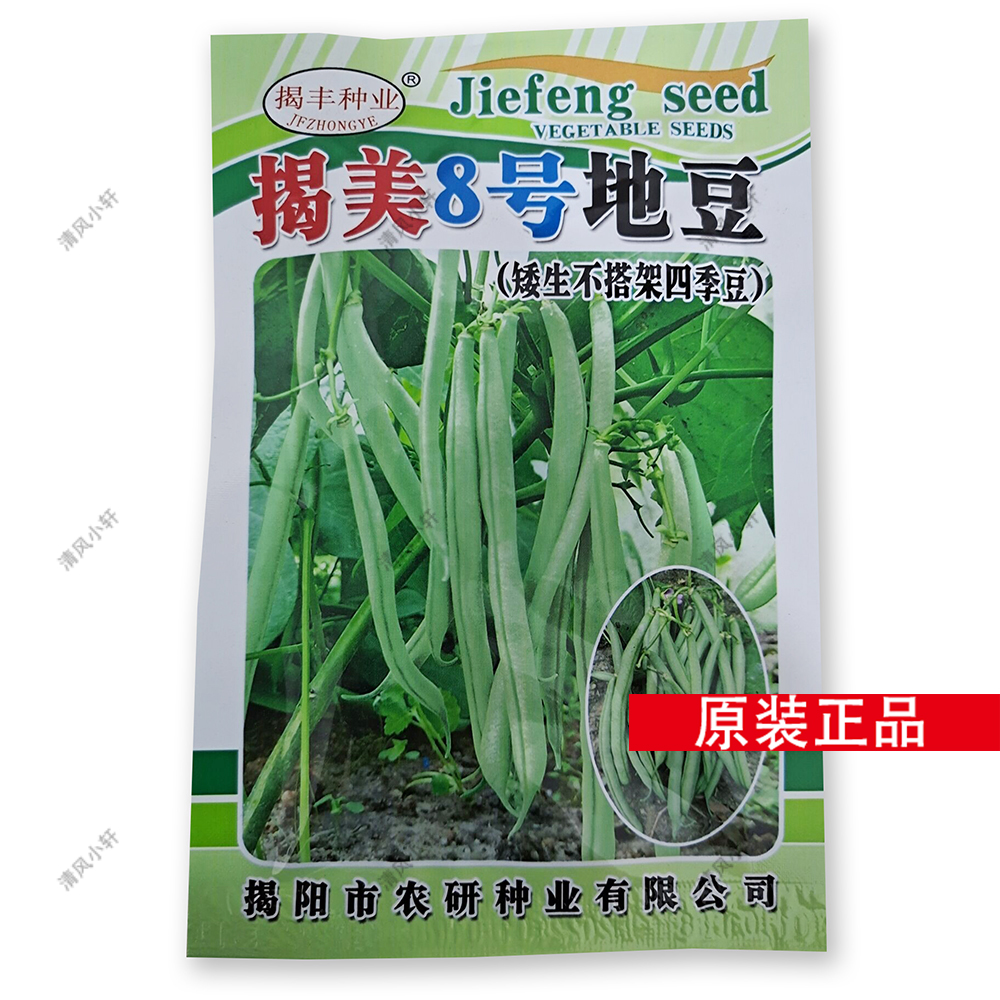 揭美8号 地豆种子 矮生不搭架四季豆 遍地豇山翠绿油青无架豆种孑
