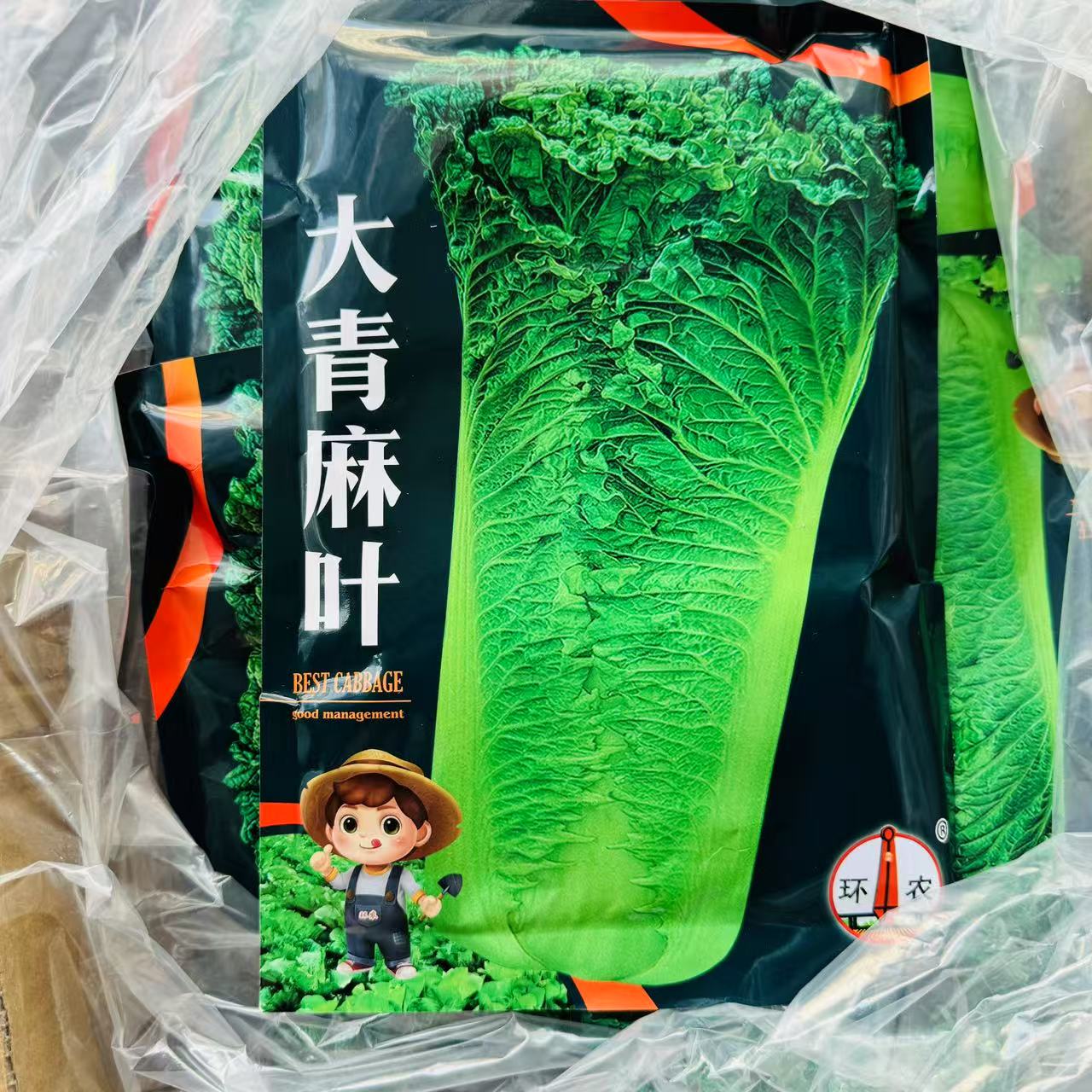 大青麻叶白菜种子高产抗病耐热耐寒农家菜园家庭种植蔬菜种子籽