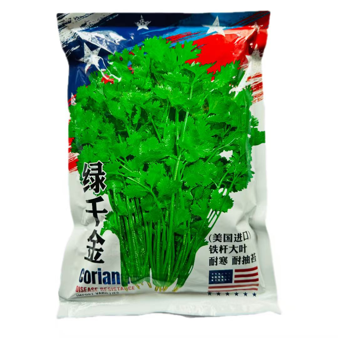 绿千金美国进口铁杆大叶香菜种子高产抗病味香浓四季可播蔬菜种子