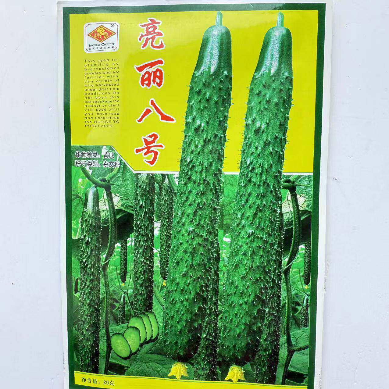 亮丽八号黄瓜种子杂交一代长势旺绿心脆甜亩产2万斤左右蔬菜种子