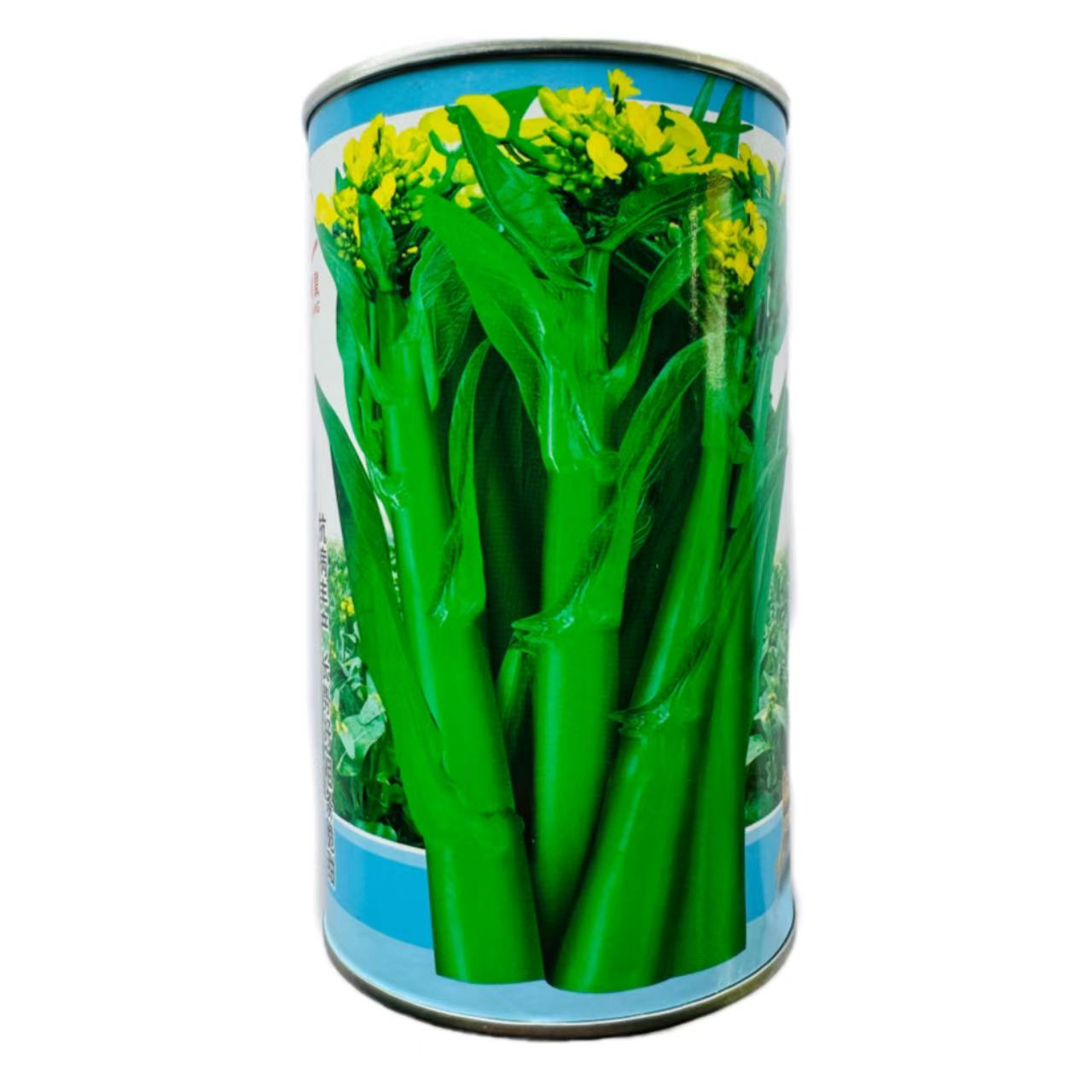 四季甜菜心菜苔种子高产抗病耐热耐寒农家菜园家庭种植蔬菜种子籽