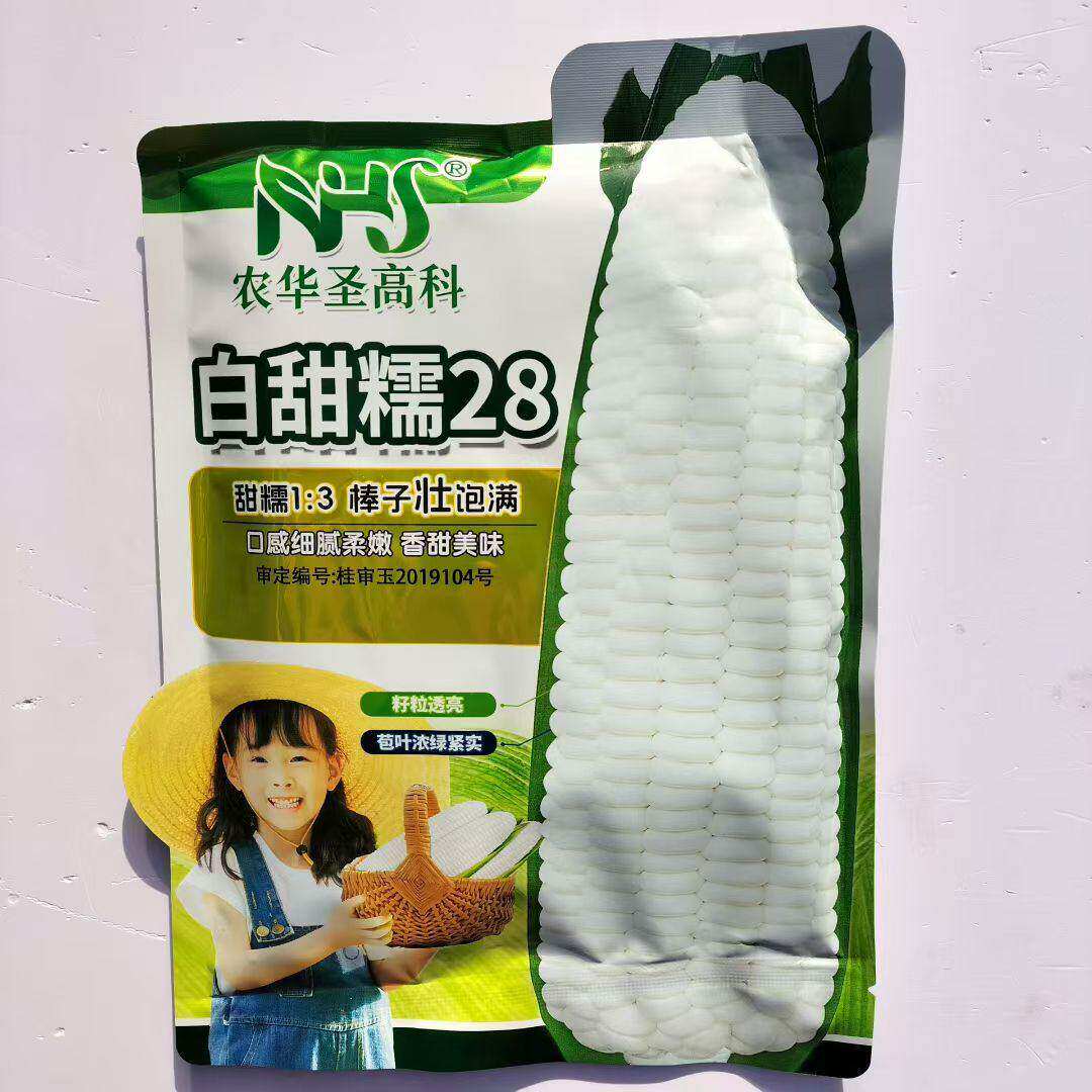 白甜糯28白糯玉米种子大棒春秋粘玉米种籽玉米种子甜糯玉米种子