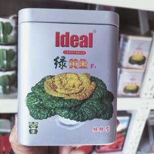 绿黄金黄心乌塌菜种籽高产抗病特矮耐寒乌塌菜农家菊花心蔬菜种子