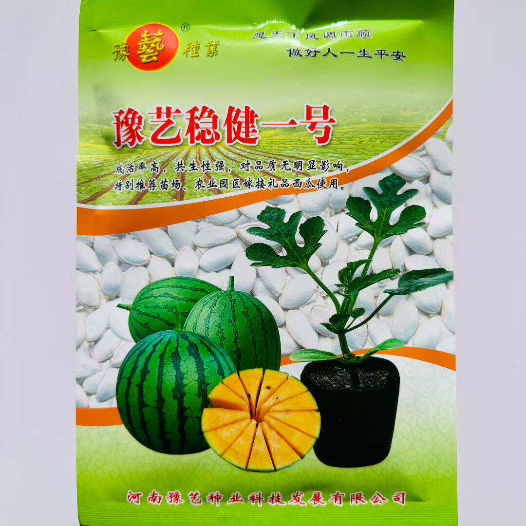 豫艺稳健一号砧木种子嫁接专用种子籽孑番茄辣椒西瓜种子茄子嫁接
