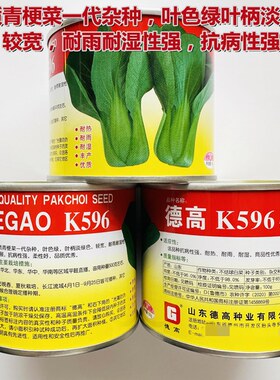 德高K596青梗菜青菜种籽子夏秋耐热耐湿上海青唐菜鲜嫩小青菜蔬菜
