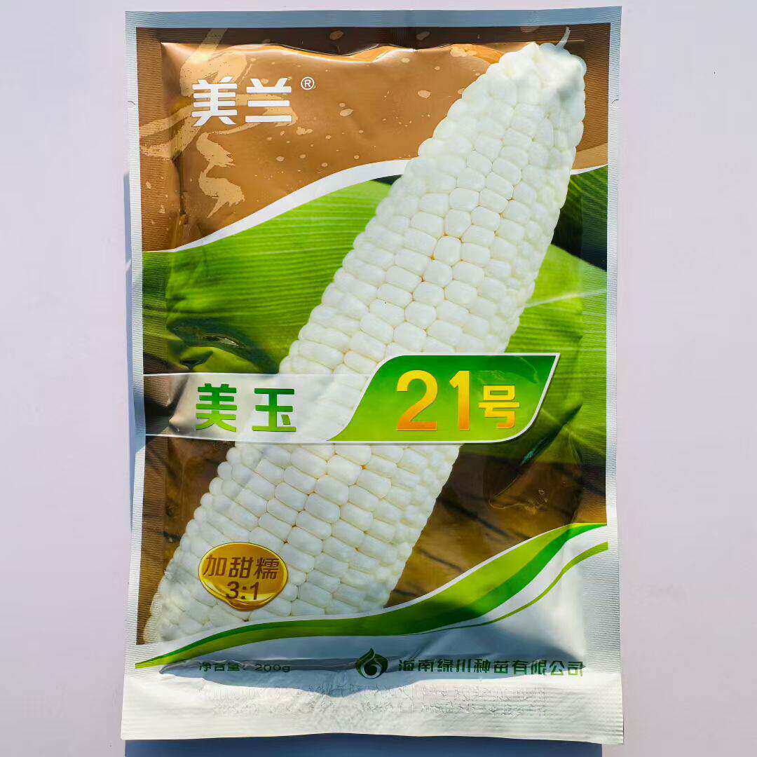美玉21号白甜糯玉米种子春秋高产大棒型鲜食糯玉米香甜粘苞谷种籽